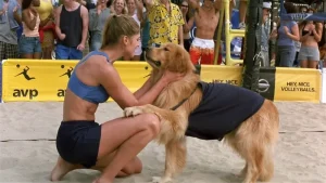 Air Bud: Spikes Back posteri