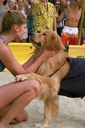 Air Bud: Spikes Back posteri
