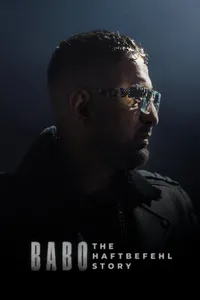 Aykut Anhan Babo'nun Öyküsü posteri