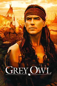 Gri Baykuş posteri