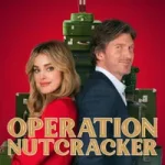 Fındıkkıran Operasyonu posteri