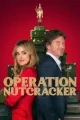 Fındıkkıran Operasyonu