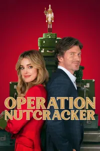 Fındıkkıran Operasyonu posteri