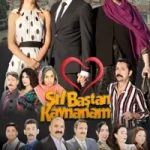 Sil Baştan Kaynanam posteri