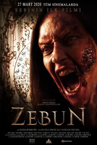 Zebun izle posteri