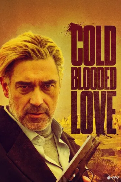 İrlandalı Kurye izle posteri