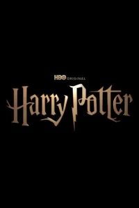 Harry Potter posteri