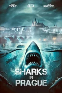 Sharks in Prague posteri