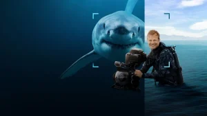 Sharks Up Close with Bertie Gregory posteri