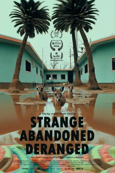 Hiçbir Şey Normal Değil izle posteri