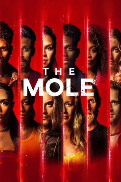 Köstebek - Mole posteri